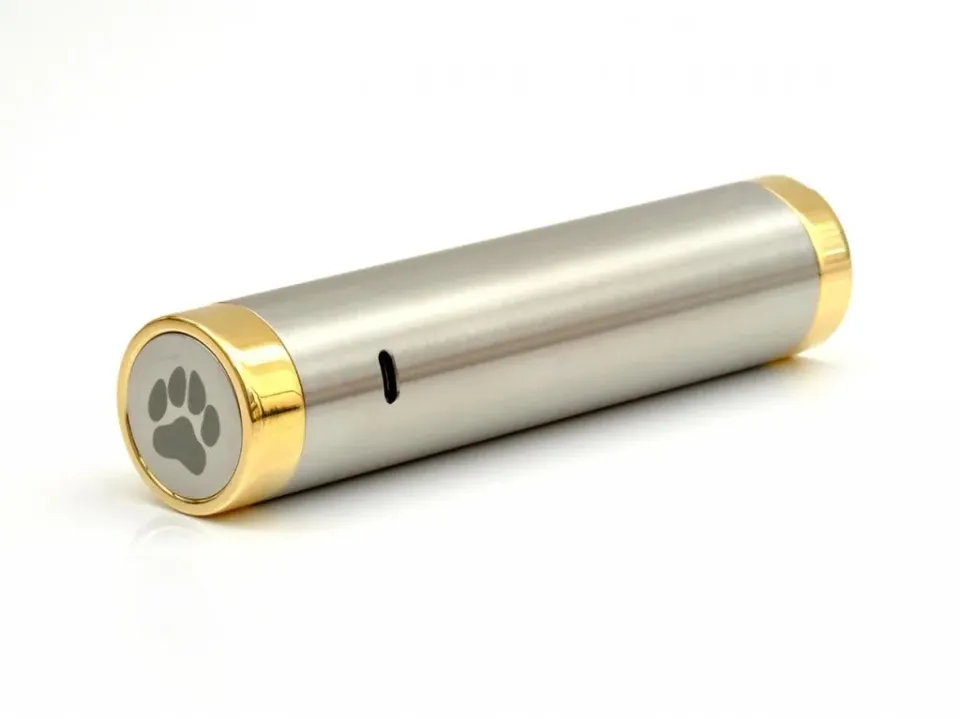 Animodz P'tit Chacal V2 mod meccanico 14500