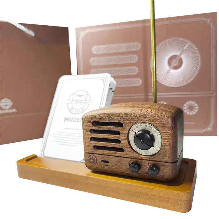 Sixhill Wooden Cassa Bluetooth in Legno Portatile
