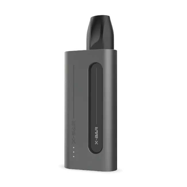 X-Bar 650 Click & Charge batteria Stone Gray ricaricabile